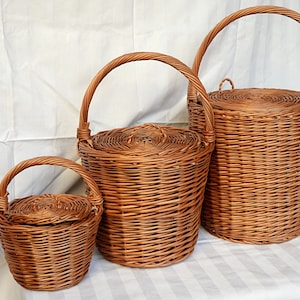 Jane Birkin Basket, Birkin Basket M, Round Wicker Basket with Lid, Medium Round Willow Basket, Round Basket Medium Basket Purse Basket Bag image 5