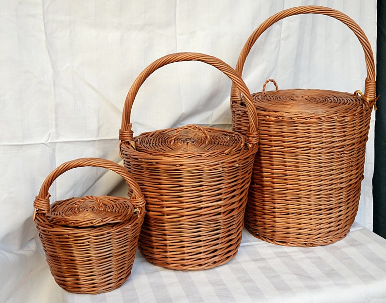 Jane Birkin Basket, Birkin Basket M, Round Wicker Basket with Lid, Medium Round Willow Basket, Round Basket Medium Basket Purse Basket Bag image 5