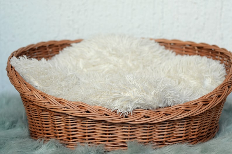 Oval Dog Bed, Wicker Dog Bed, Oval Cat Bed, Wicker Dog Basket, Small Dog Wicker Basket, Natural Material Dog Bed, Pet Basket Pet Bed Natural image 5