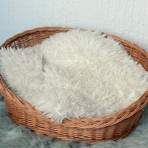 Oval Dog Bed, Wicker Dog Bed, Oval Cat Bed, Wicker Dog Basket, Small Dog Wicker Basket, Natural Material Dog Bed, Pet Basket Pet Bed Natural image 7