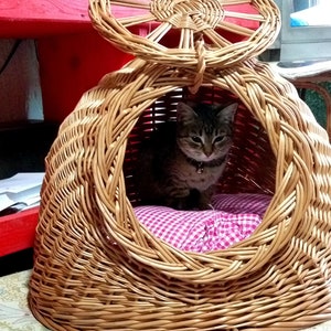 Wicker Cat Bed, Cat Cave, Wicker Cat Basket, Wicker Cat House, Cat/Small Dog House Willow Basket for Cats, Cat Furniture, Wicker Cat Carrier image 8