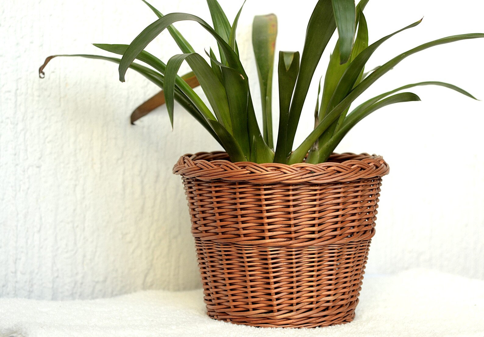 Wicker Plant Pot Basket Plant Pot Wicker Basket Planter Etsy