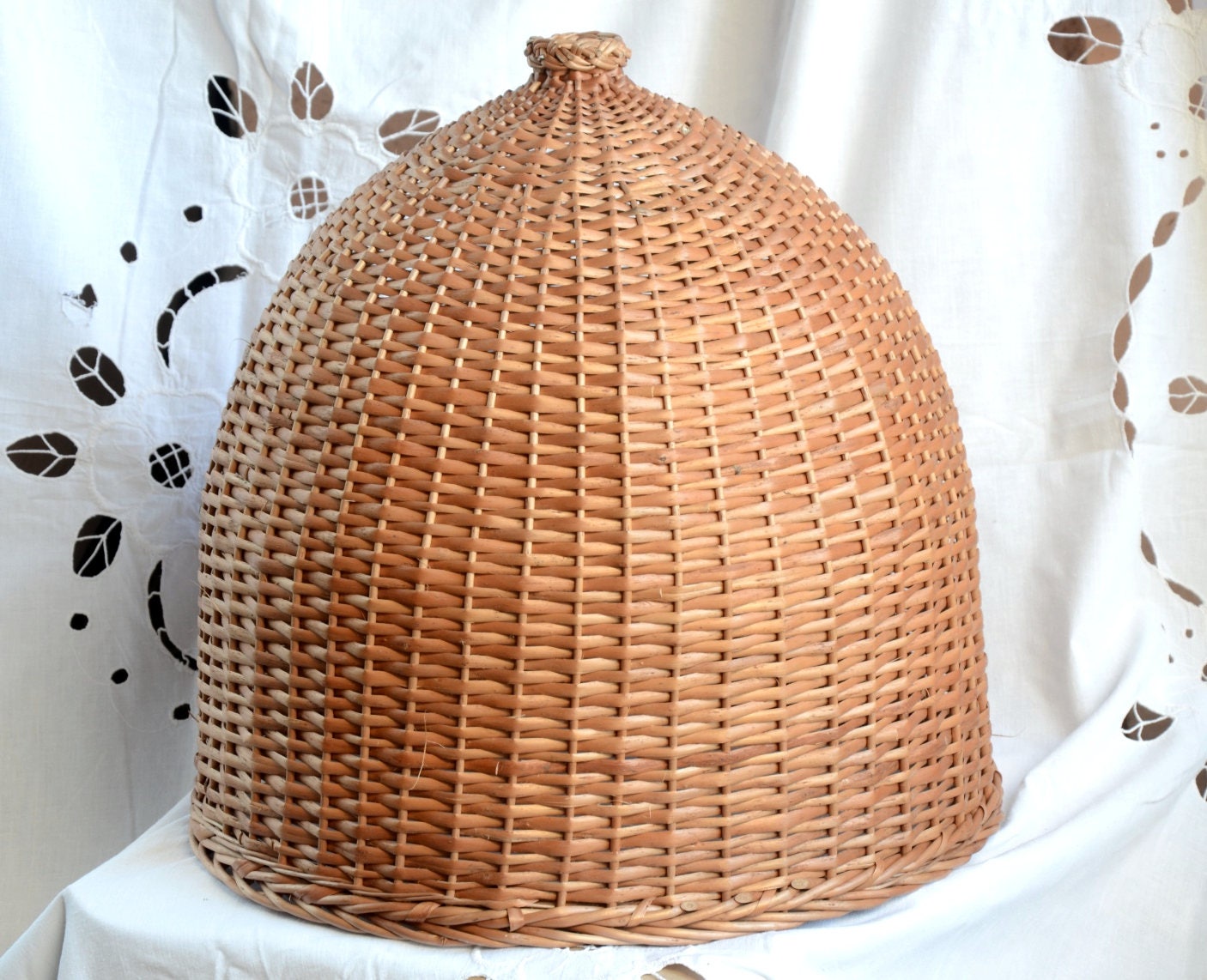 willow light shade