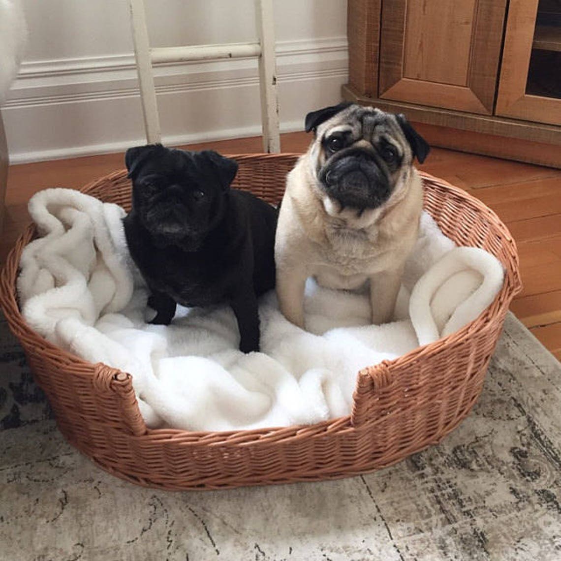 Medium/large Dog Bed Large Dog Basket Wicker Dog Furniture Etsy