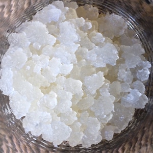 1 Cup Water Kefir Grains Live Organic Culture