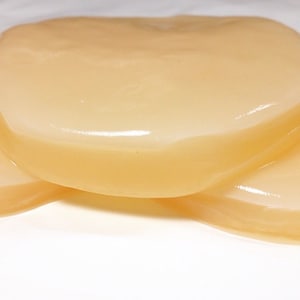 Kombucha SCOBY + Strong Starter Live Organic Culture