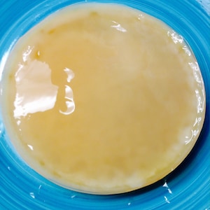 Large Organic Kombucha SCOBY Live Mother Culture