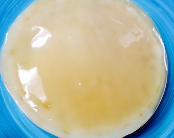 Large Kombucha SCOBY + Strong Starter Tea Live Organic Mother Culture