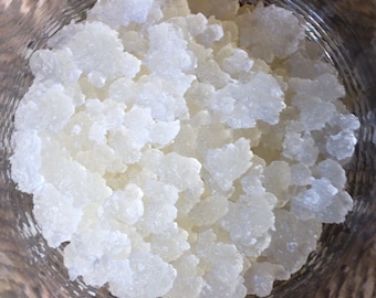 Water Kefir Grains Live Culture Organic Tibicos FREE SHIPPING