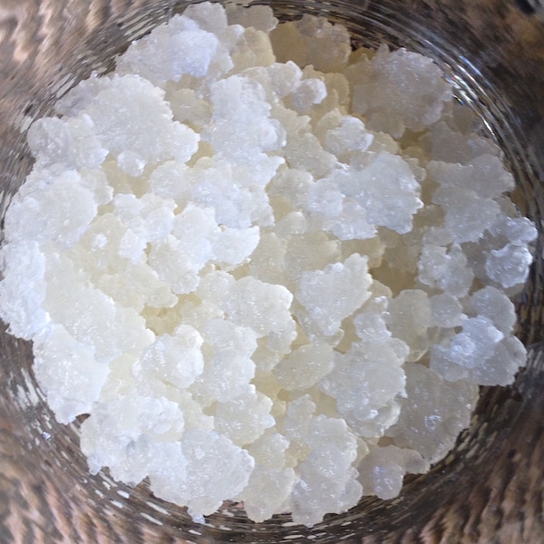 Water Kefir Grains Live Culture Organic Tibicos FREE SHIPPING