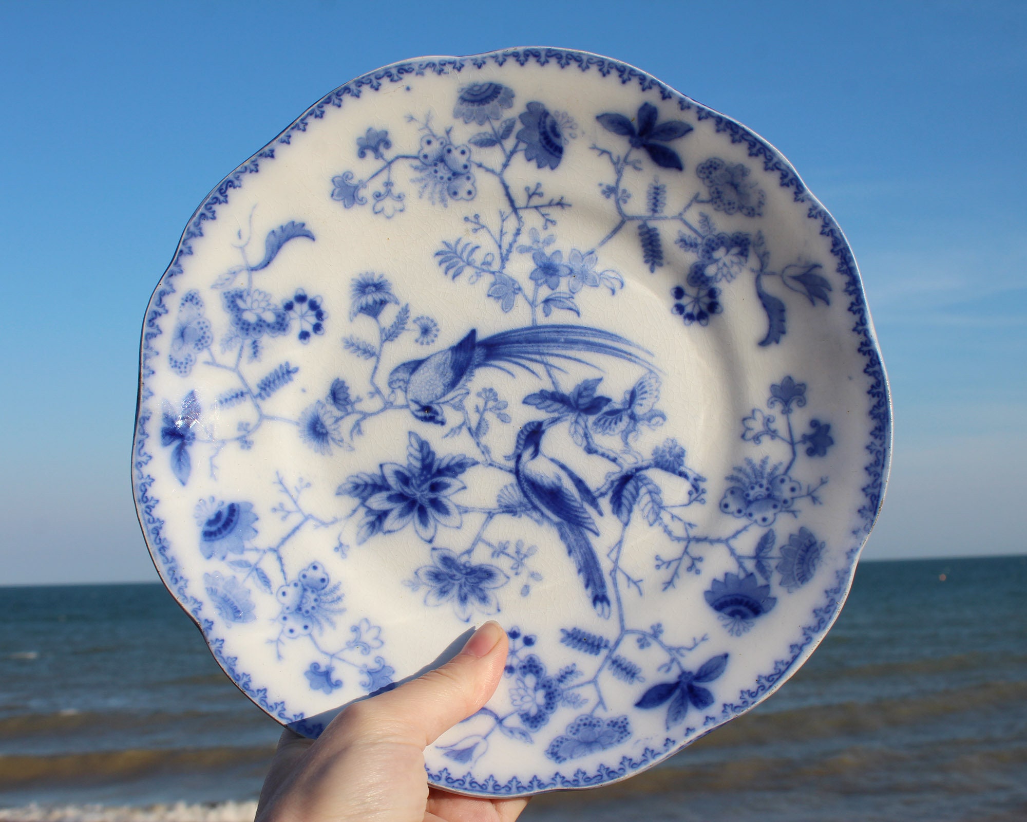 Blue top floral plate