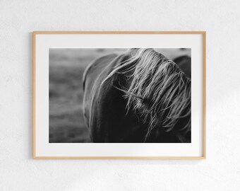 Equestrian Fine Art Photograph | "Wind Knots" | Modern Equestrian Decor | Horse Lifestyle | Abstract Horse Art | Black and White Horse Photo