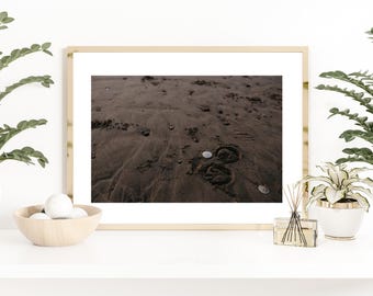 Equestrian Fine Art Photograph | "Sea Horses" | Modern Equestrian Decor | Horse Art | Horse Lifestyle | Hoof Prints Photograph