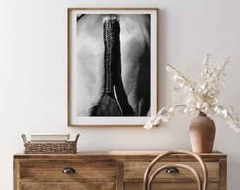 Equestrian Fine Art Photograph | "Plaited" | Modern Equestrian Decor | Horse Lifestyle | Abstract Horse Art | Black & White Horse Photo