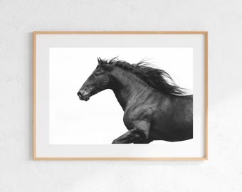 Equestrian Fine Art Photograph | "The Stallion" | Modern Equestrian Decor | Horse Lifestyle | Abstract Horse Art | Black & White Horse Photo
