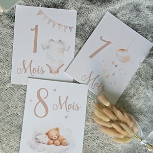 Lot de 13 cartes étapes bébé