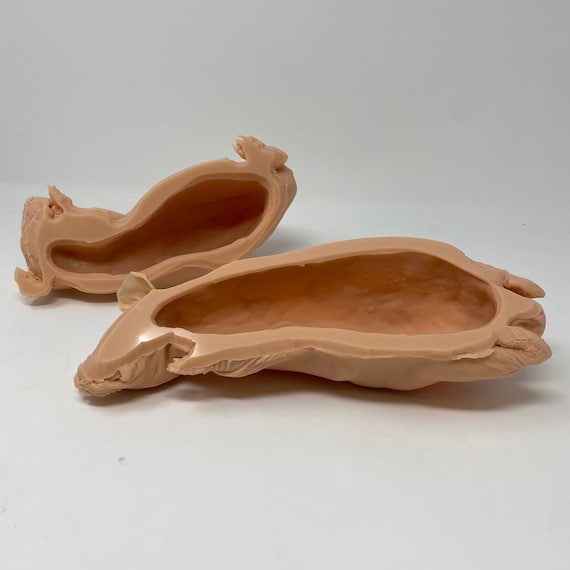 Hairless Guinea Pig Silicone Deathcast Skinny Pig Zinny - Etsy