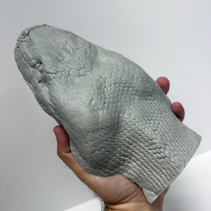 May include: A gray, three-dimensional sculpture of a snake head featuring highly detailed, realistic scale patterns across the entire surface. The object is rendered in a solid, matte gray material with a textured finish that mimics reptilian skin.