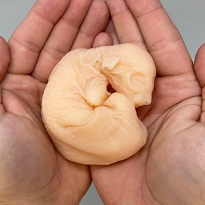 Replica Silicone sphynx deathcast (Biscuit)