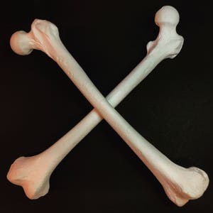 May include: Two white, realistic-looking, human femur bones are crossed, forming an 'X' shape. The bones are positioned against a black background.