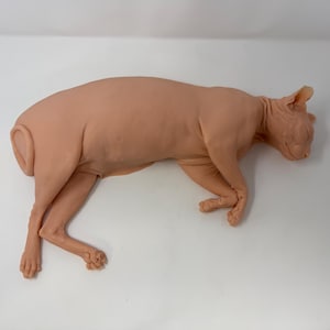 May include: A realistic, hairless Sphynx cat figurine in a light peach, skin-toned color. The cat is depicted in a resting, lying-down position with its eyes closed, showing detailed skin folds around the neck and ears, and a curled tail.