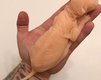 Silicone sphynx deathcast