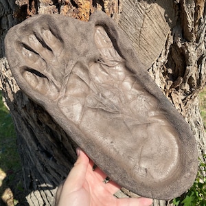 Lake Worth Monster Footprint Cast