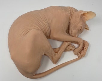 Sphynx Cat “Brock” silicone deathcast