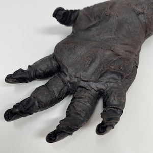 Baboon paw replica