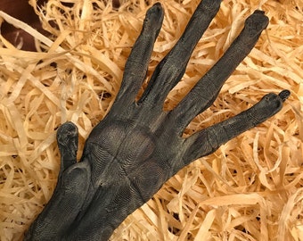 Peut inclure: Une main grise foncée et texturée avec de longs doigts fins. La main repose sur un lit de copeaux de bois brun clair. La surface de la main présente une texture détaillée et à motifs.