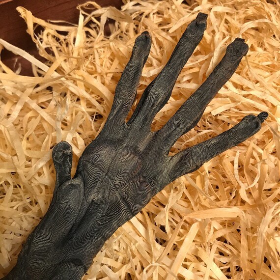 real monkey paw real monkey paw