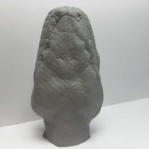 May include: A monochromatic gray sculpture of a snake head, featuring highly detailed, raised scale patterns across the entire surface. The sculpture is oriented vertically, showcasing the anatomical structure of the snout, eyes, and jawline.