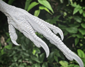 Black Vulture Replica Foot