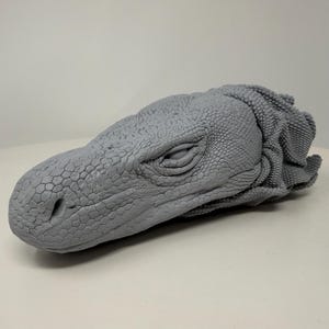 May include: A detailed, grey sculpture of a reptile head, possibly a dinosaur or dragon. The head features textured skin, a closed eye, and a detailed snout. The sculpture is likely made of a hard material.