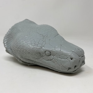 May include: A detailed, gray sculpture of a snake's head. The sculpture features textured scales and a realistic depiction of the snake's eye and snout. The head is positioned at a slight angle, showcasing the intricate details of the artwork.