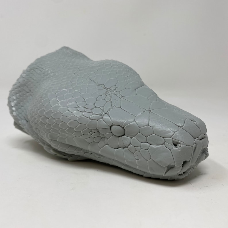 May include: A detailed, gray sculpture of a snake's head. The sculpture features textured scales and a realistic depiction of the snake's eye and snout. The head is positioned at a slight angle, showcasing the intricate details of the artwork.