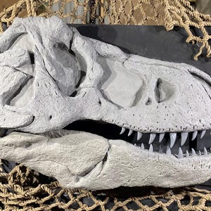 Tyrannosaurus Rex Life Size Skull Wall Mount Replica