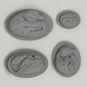 Puede incluir: Cuatro esculturas grises de bebés caimanes en huevos. Los caimanes están acurrucados en diferentes posiciones. Los huevos son de forma ovalada y tienen una superficie lisa. Las esculturas están sobre un fondo blanco.