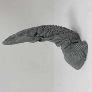 Zwarte Roughneck-monitor Lizard Deathcast