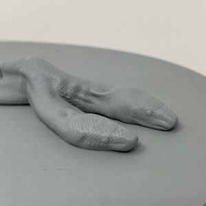 May include: A grey 3D printed sculpture of two snakes intertwined with their heads facing forward.