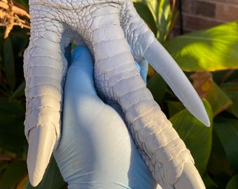 Cassowary foot replica