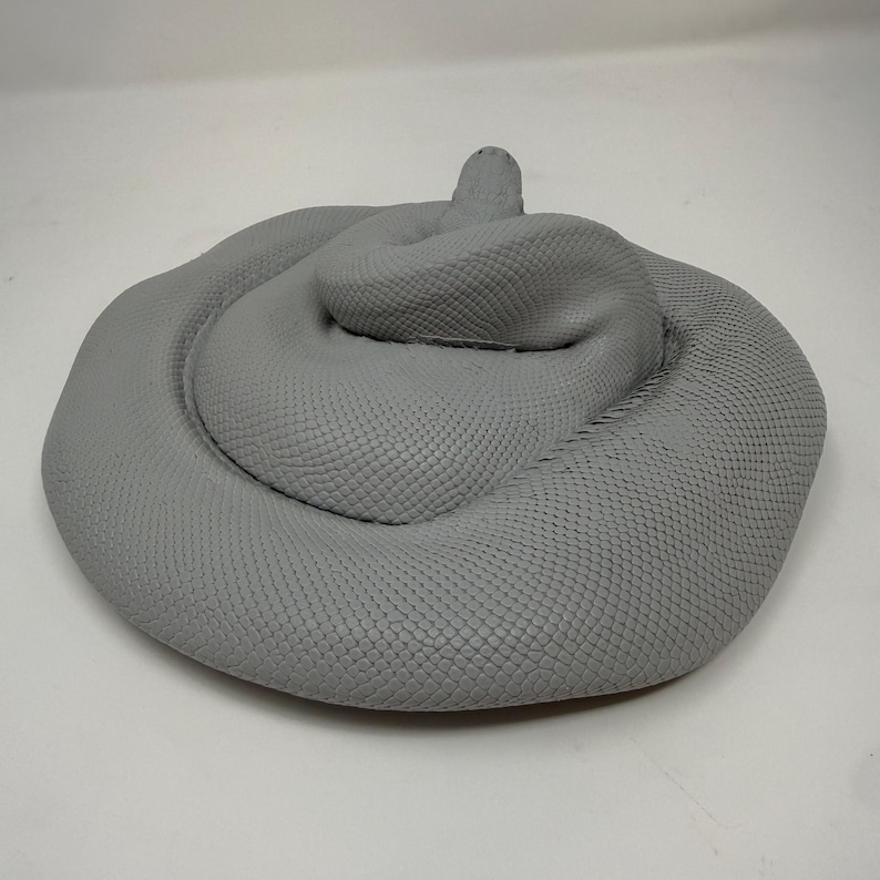 Pu&ograve; includere: Una scultura grigia solida di un serpente avvolto su se stesso con un motivo a squame dettagliato e testurizzato che copre l'intero corpo. Il serpente &egrave; posizionato in un cerchio stretto con la testa leggermente sollevata sulla parte centrale.