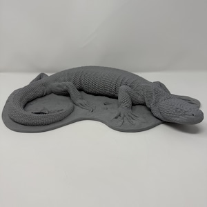 メキシコのビーズトカゲの頭蓋骨のレプリカ（博物館品質