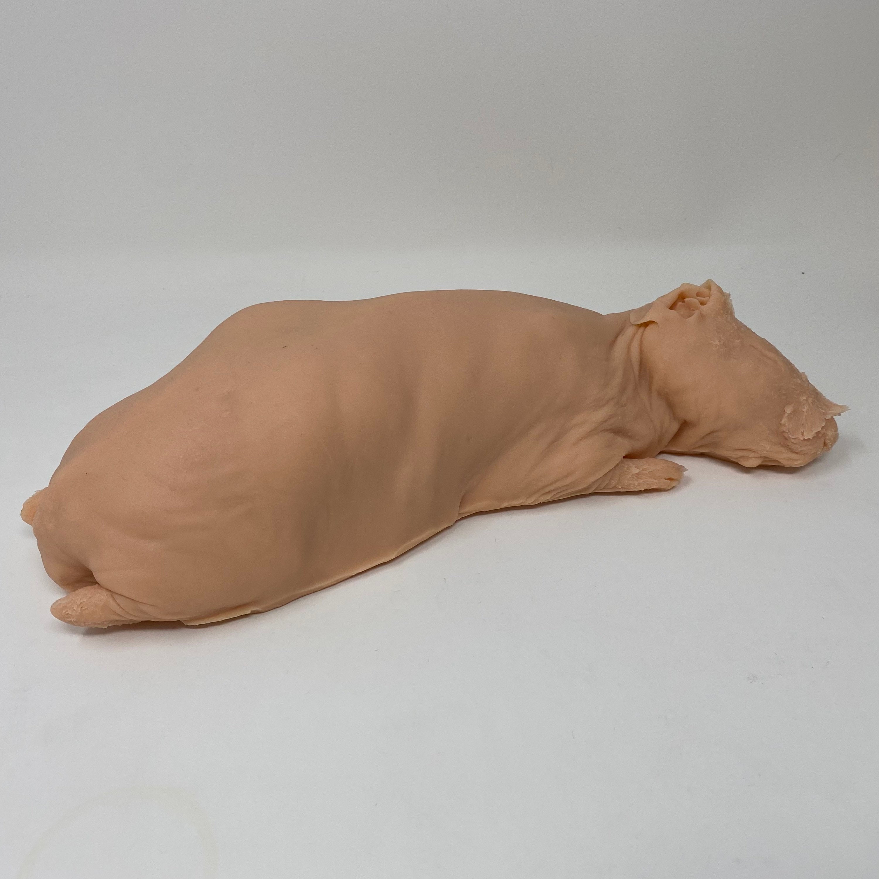 Hairless Guinea Pig Silicone Deathcast Skinny Pig Zinny - Etsy