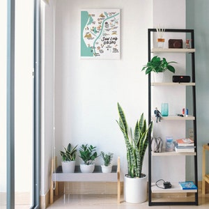 May include: A white shelf unit with black metal framing, holding various items, including plants, books, and a small figurine. The shelf is against a white wall with a framed map of San Luis Obispo, California, hanging above it.