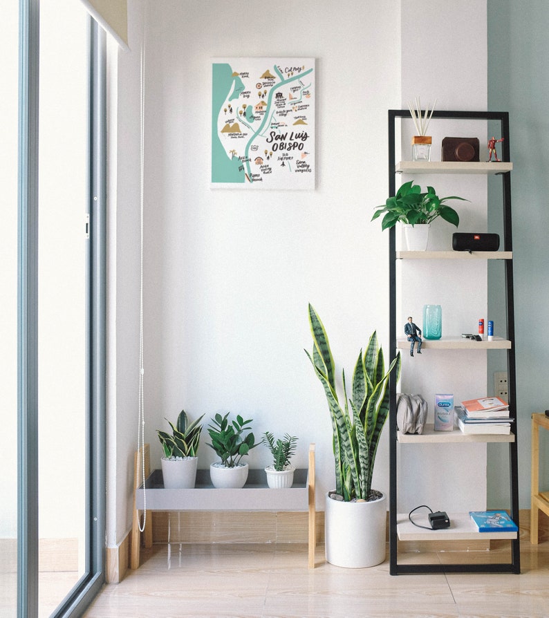 May include: A white shelf unit with black metal framing, holding various items, including plants, books, and a small figurine. The shelf is against a white wall with a framed map of San Luis Obispo, California, hanging above it.