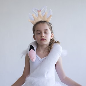 Toddler Girls Swan costume