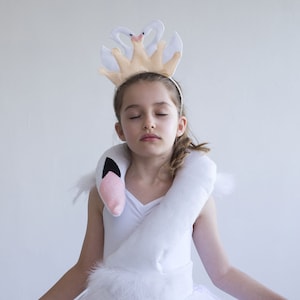 White chicks swan costume 2025