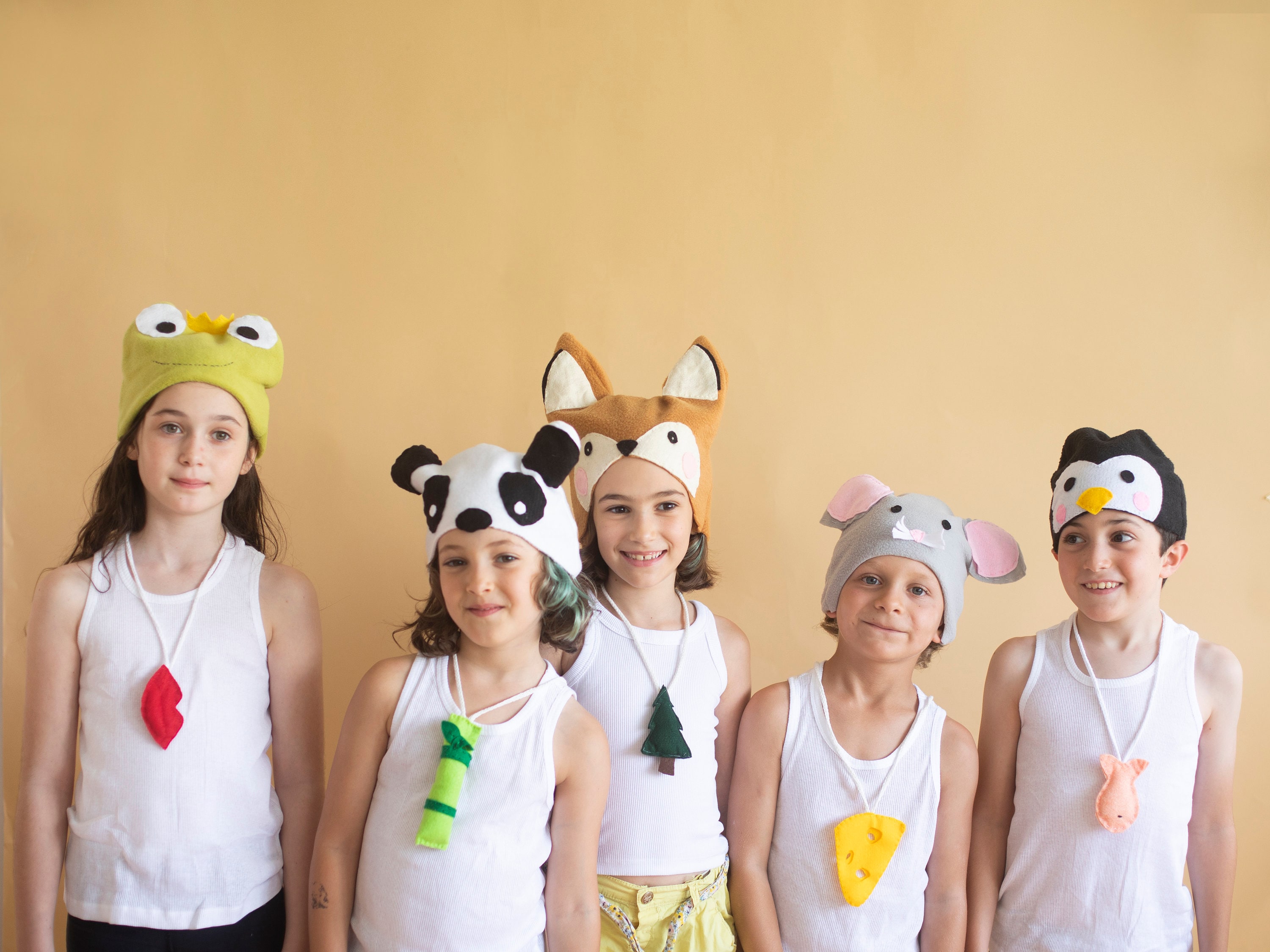 9+ Diy Mouse Costume