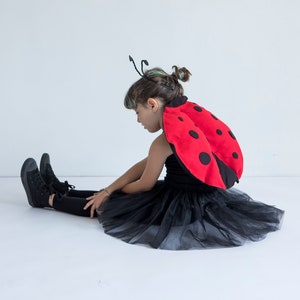 Ladybug Costume For Kids